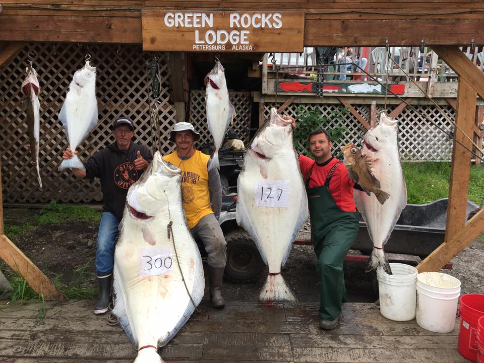 Alaska Halibut Fishing - Alaska's Boardwalk Lodge