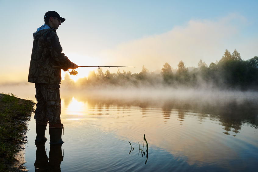 The Different Types of Alaska Salmon