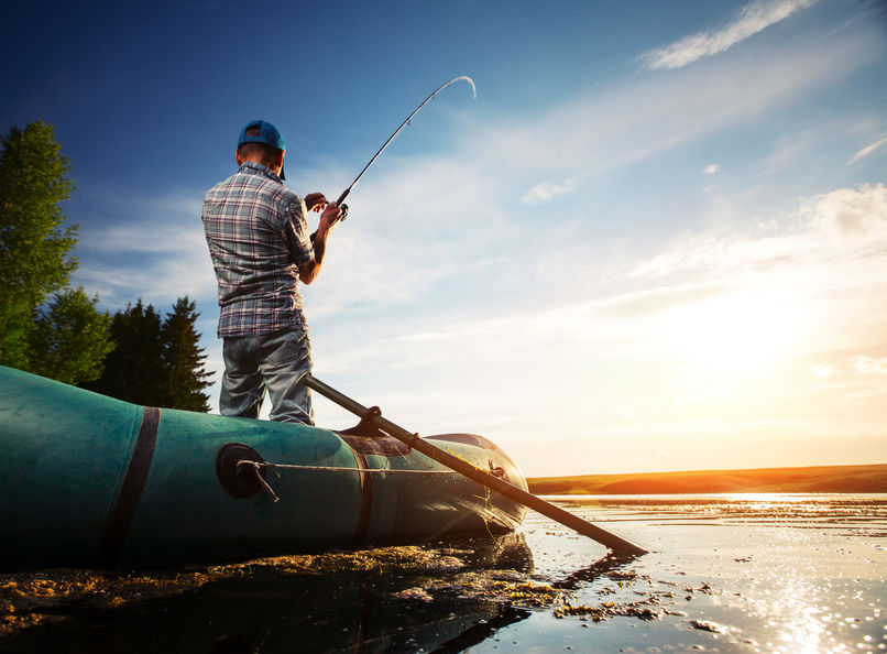 Salmon vs. Halibut: Which Should You Fish?