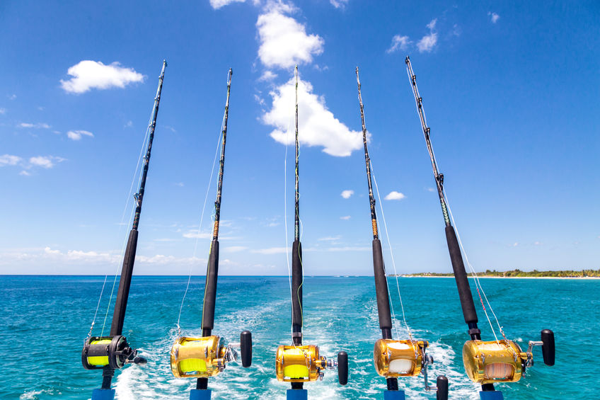 How to Choose the Right Fishing Rod