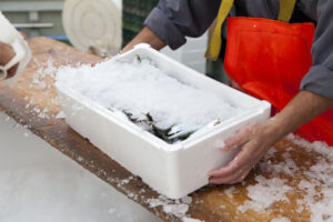 How to Store Freshly Caught Fish