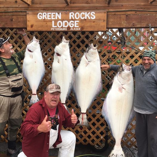 Key Strategies To Catching Halibut While Going SelfGuided Fishing At